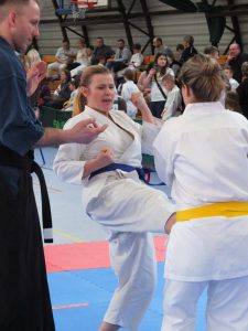 Otwarta Wojewódzka Liga Karate 2019