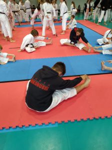 Mistrzostwa Województwa Mazowieckiego w Karate Tradycyjnym 2019