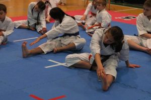 Finał Otwartej Wojewódzkiej Ligi Karate Tradycyjnego