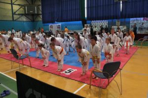 Finał Otwartej Wojewódzkiej Ligi Karate Tradycyjnego