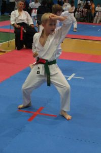 Finał Otwartej Wojewódzkiej Ligi Karate Tradycyjnego