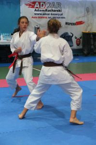 Finał Otwartej Wojewódzkiej Ligi Karate Tradycyjnego