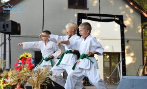 Święto Chleba – Pokazy Karate