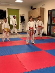 Warsztaty karate tradycyjnego – przygotowanie do Mistrzostw Polski 2026