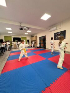 Warsztaty karate tradycyjnego – przygotowanie do Mistrzostw Polski 2026