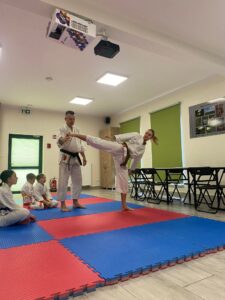 Warsztaty karate tradycyjnego – przygotowanie do Mistrzostw Polski 2026