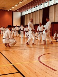 33. Master Course ITKF w Paryżu