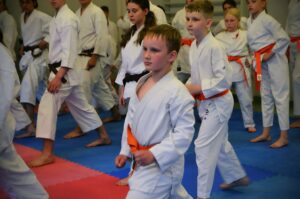 Summer Karate Camp