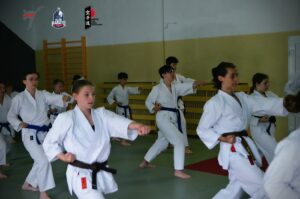 Summer Karate Camp