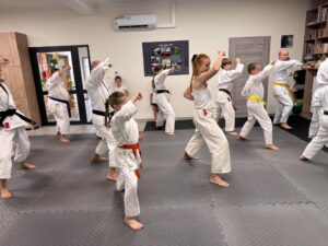 Warsztaty karate vol. 2 w Czarnym Lesie