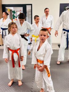 Warsztaty karate vol. 2 w Czarnym Lesie