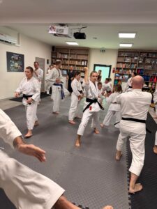 Warsztaty karate vol. 2 w Czarnym Lesie