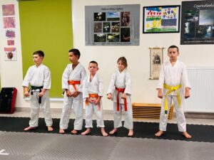 Warsztaty karate vol. 2 w Czarnym Lesie