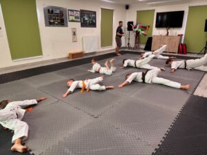 Warsztaty karate vol. 2 w Czarnym Lesie