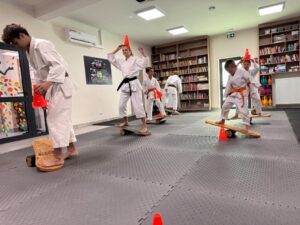 Warsztaty karate vol. 2 w Czarnym Lesie