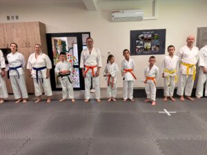 Warsztaty karate vol. 2 w Czarnym Lesie