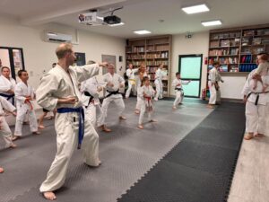 Warsztaty karate vol. 2 w Czarnym Lesie