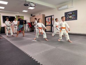 Warsztaty karate vol. 2 w Czarnym Lesie